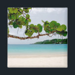 Magens Bay, St. Thomas 2 inch vierkante magneet<br><div class="desc">Deze prachtige foto show de Caribische wateren van Magens Bay,  St. Thomas,  in de Amerikaanse Maagdeneilanden.</div>