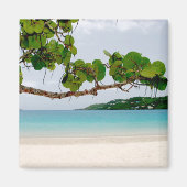 Magens Bay, St. Thomas 2 inch vierkante magneet (Voorkant)