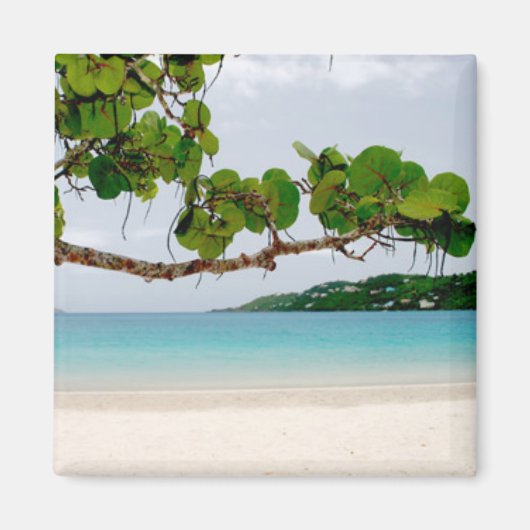 Magens Bay, St. Thomas 2 inch vierkante magneet (Voorkant)