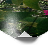 Magens Bay St. Thomas, USVI Tropical Beach Foto Afdruk (Hoek)