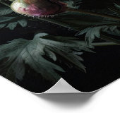 Magenta Anemone Flowers Art Print Poster (Hoek)