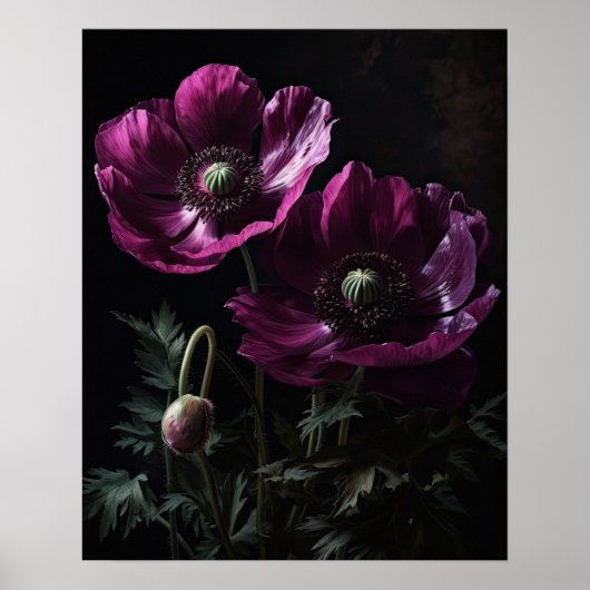 Magenta Anemone Flowers Art Print Poster (Voorkant)