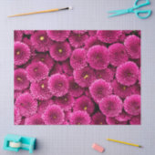 Magenta Chrysanthemum Floral Tissue Paper Tissuepapier (Craft)