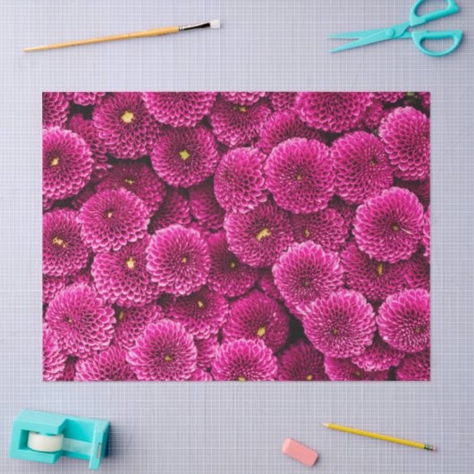Magenta Chrysanthemum Floral Tissue Paper Tissuepapier (Craft)