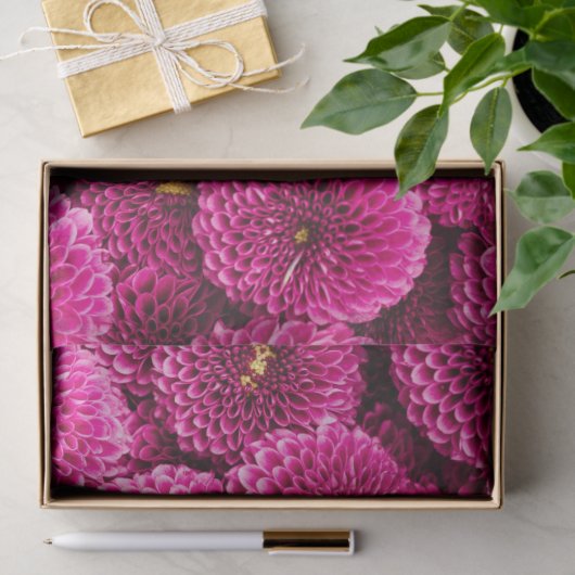 Magenta Chrysanthemum Floral Tissue Paper Tissuepapier (Geschenk)