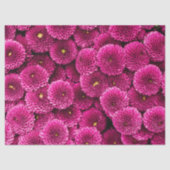 Magenta Chrysanthemum Floral Tissue Paper Tissuepapier (Voorkant)