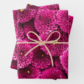 Magenta Chrysanthemum Floral Wrapping Paper (In situ)