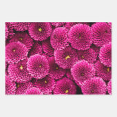 Magenta Chrysanthemum Floral Wrapping Paper (Voorkant)