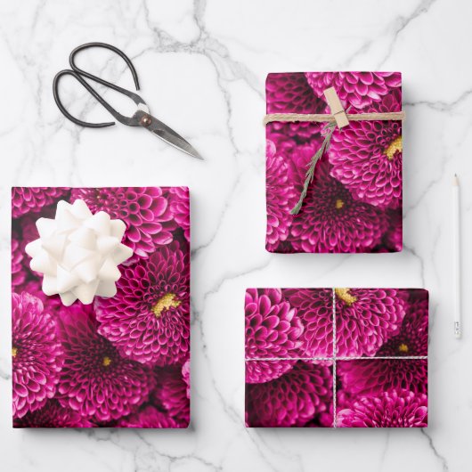 Magenta Chrysanthemum Floral Wrapping Paper (Voorkant)