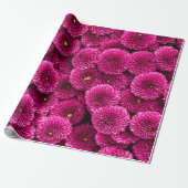 Magenta Chrysanthemum Floral Wrapping Paper Cadeaupapier (Uitgerold)