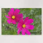 Magenta Cosmos, Quebec City Legpuzzel (Horizontaal)