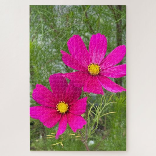 Magenta Cosmos, Quebec City Legpuzzel (Verticaal)