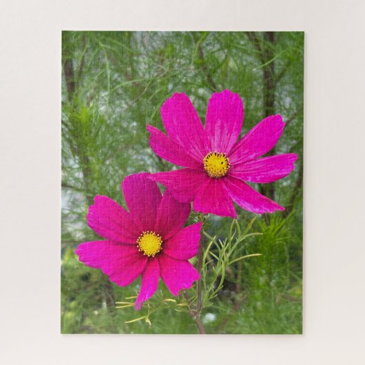 Magenta Cosmos, Quebec City Legpuzzel (Verticaal)
