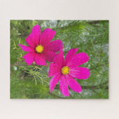 Magenta Cosmos, Quebec City Legpuzzel (Horizontaal)