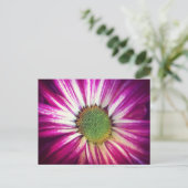 Magenta Daisy Briefkaart (Staand voorkant)