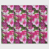 magenta en witte garnalen cadeaupapier (Vlak)