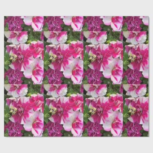 magenta en witte garnalen cadeaupapier (Vlak)