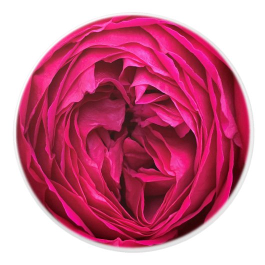 Magenta English roos Keramische Knop (Voorkant)