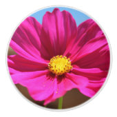 Magenta Flower Keramische Knop (Voorkant)