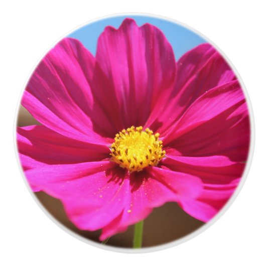 Magenta Flower Keramische Knop (Voorkant)