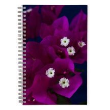 Magenta Flower Photo Spiral Notitieboek