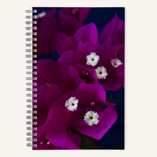 Magenta Flower Photo Spiral Notitieboek