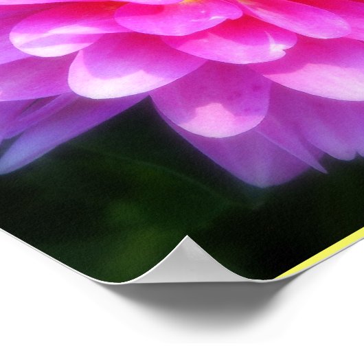 Magenta Flower Poster (Hoek)