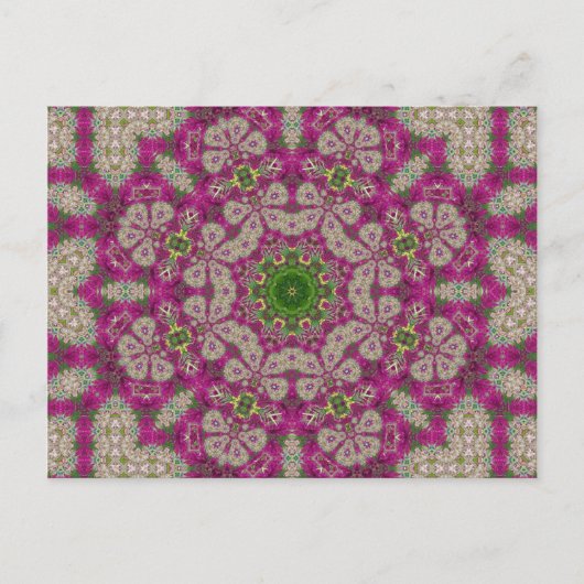Magenta Flowers Lace Mandala Briefkaart (Voorkant)
