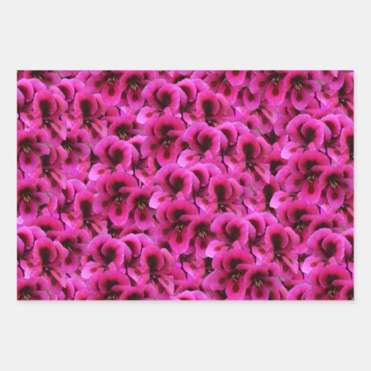 Magenta Geranium Flowers Inpakpapier Vel (Voorkant)