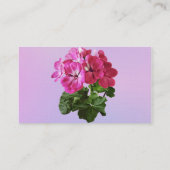 Magenta Geranium Visitekaartje (Achterkant)