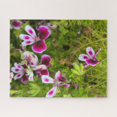 Magenta Geurende Bladgeranium, Oakland Legpuzzel (Horizontaal)