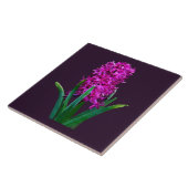 Magenta Hyacinth Tegeltje (Zijkant)