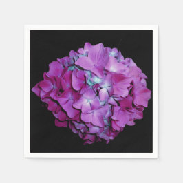 Magenta Hydrangeas Servet