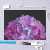 Magenta Hydrangeas Tissuepapier (Craft)
