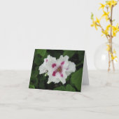 Magenta-Kleine verjaardag - Kaart (Gele Bloem)
