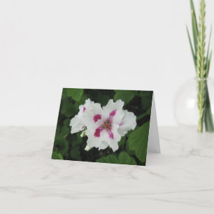 Magenta-Kleine verjaardag - Kaart