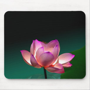 Magenta Lotus in volle bloei, mousepad Muismat