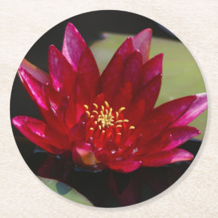 Magenta Lotus Waterlelie Ronde Kartonnen Onderzetter
