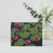 Magenta Lotus Waterlily Briefkaart (Staand voorkant)
