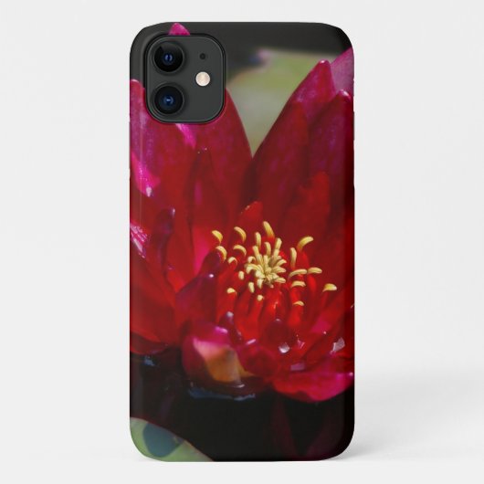 Magenta Lotus Waterlily Hoesje-Mate iPhone Case (Achterkant)