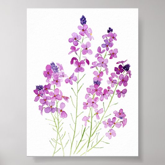 magenta muurbloemen waterverf poster (Voorkant)