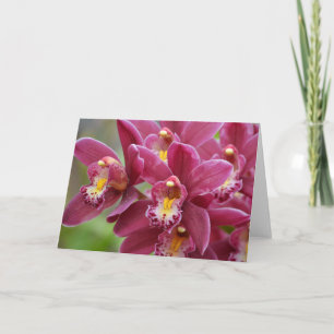 Magenta Orchids Blank Note Kaart