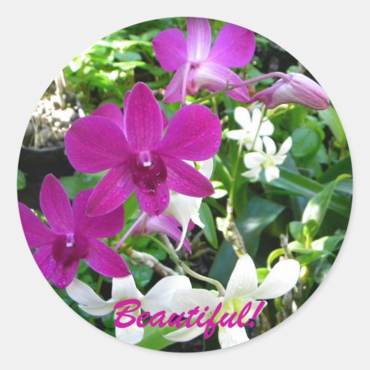 Magenta Orchids Ronde Sticker (Voorkant)