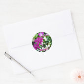 Magenta Orchids Ronde Sticker (Envelop)