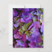 Magenta Paars blauw Hydrangeenbloemen Bedankkaart (Achterkant)