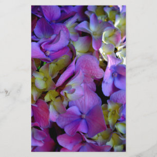 Magenta Paars blauw Hydrangeenbloemen Briefpapier