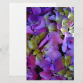 Magenta Paars blauw Hydrangeenbloemen Briefpapier (Voorkant / Achterkant)