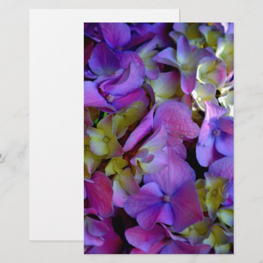 Magenta Paars blauw Hydrangeenbloemen Briefpapier (Voorkant / Achterkant)