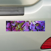 Magenta Paars blauw Hydrangeenbloemen Bumpersticker (Op auto)