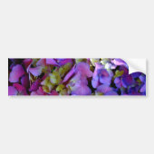 Magenta Paars blauw Hydrangeenbloemen Bumpersticker (Voorkant)